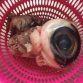 マグロの目玉 煮付け レシピ 作り方 By なーちゃんまま 楽天レシピ マグロの目玉 煮付け レシピ 作り方 By なーちゃんまま 楽天レシピ